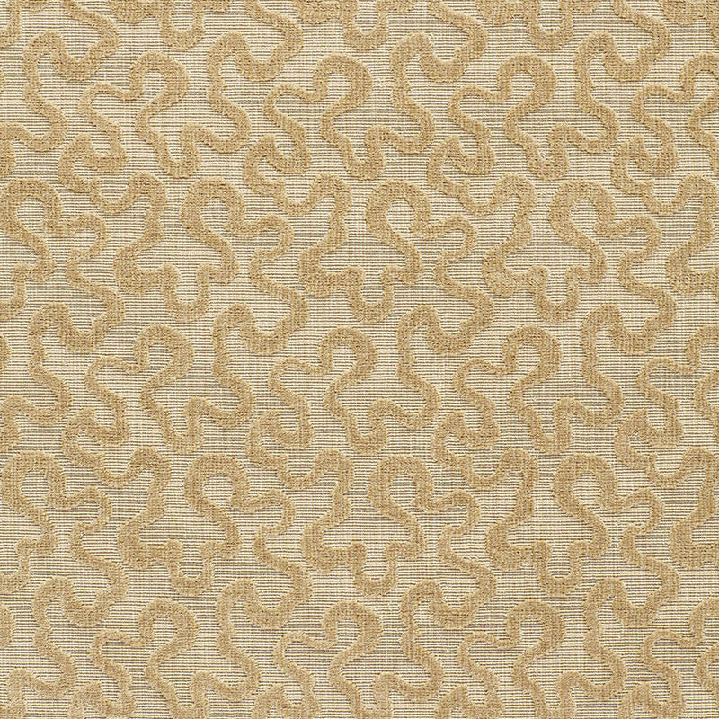 Vermicelli Velvet Camel 64764 by Schumacher Fabric CHROMA COTTON 100% BELGIUM MARTINDALE 25,000 </p><p>Repeat: Horizontal: 3 3/8" (9CM) and Vertical: 4 3/4" (12CM) 54 - Fabric Carolina -