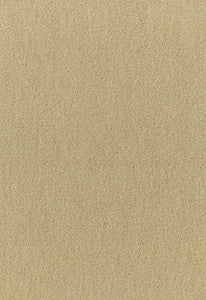 San Carlo Mohair Velvet Putty 64859 by Schumacher Fabric