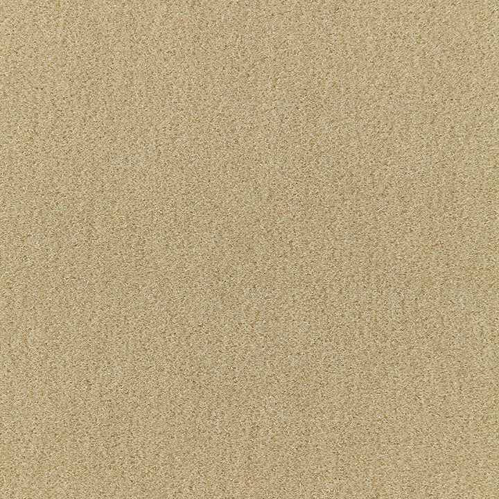 San Carlo Mohair Velvet Putty 64859 by Schumacher Fabric MOHAIR VELVET PROGRAM COTTON 54% MOHAIR 46% NETHERLANDS MARTINDALE 40,000 </p><p>Repeat: Horizontal: and Vertical: 55 - Fabric Carolina -