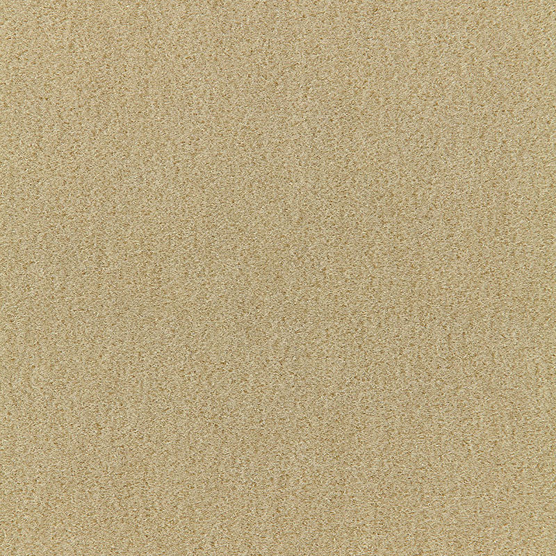 San Carlo Mohair Velvet Putty 64859 by Schumacher Fabric MOHAIR VELVET PROGRAM See Sample NETHERLANDS HEAVY DUTY </p><p>Repeat: Horizontal: - and Vertical: - 55" WIDE (140CM) - Fabric Carolina -