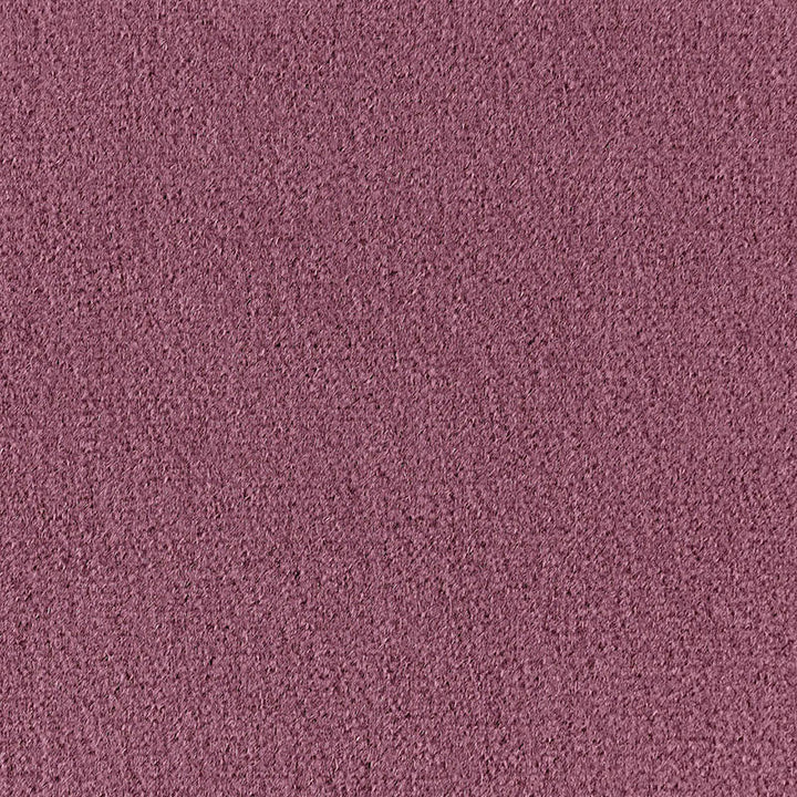 San Carlo Mohair Velvet Thistle 64860 by Schumacher Fabric MOHAIR VELVET PROGRAM See Sample NETHERLANDS HEAVY DUTY </p><p>Repeat: Horizontal: - and Vertical: - 55" WIDE (140CM) - Fabric Carolina -