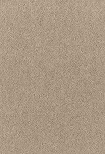 San Carlo Mohair Velvet Fog 64867 by Schumacher Fabric