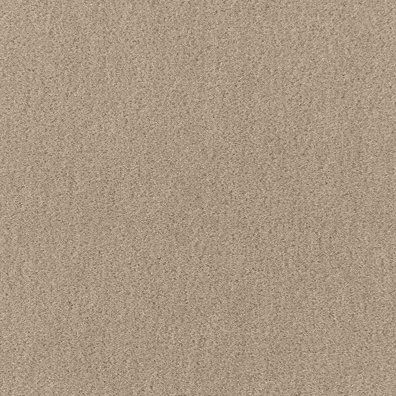 San Carlo Mohair Velvet Fog 64867 by Schumacher Fabric MOHAIR VELVET PROGRAM COTTON 54% MOHAIR 46% NETHERLANDS MARTINDALE 40,000 </p><p>Repeat: Horizontal: and Vertical: 55 - Fabric Carolina -