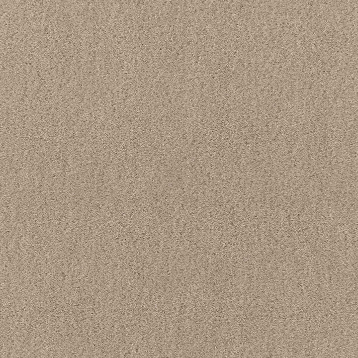 San Carlo Mohair Velvet Fog 64867 by Schumacher Fabric MOHAIR VELVET PROGRAM COTTON 54% MOHAIR 46% NETHERLANDS MARTINDALE 40,000 </p><p>Repeat: Horizontal: and Vertical: 55 - Fabric Carolina -