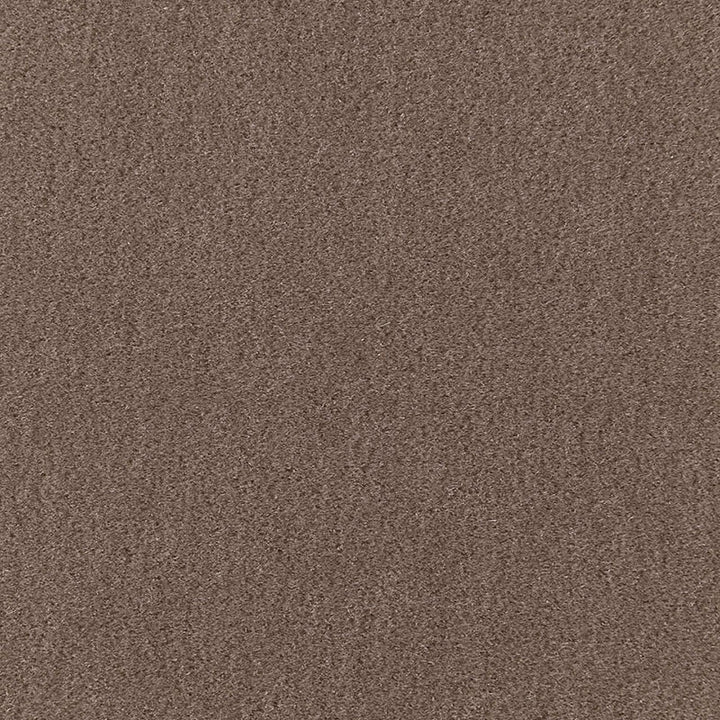 San Carlo Mohair Velvet Driftwood 64868 by Schumacher Fabric MOHAIR VELVET PROGRAM See Sample NETHERLANDS HEAVY DUTY </p><p>Repeat: Horizontal: - and Vertical: - 55" WIDE (140CM) - Fabric Carolina -