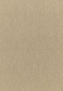 San Carlo Mohair Velvet Pebble 64871 by Schumacher Fabric