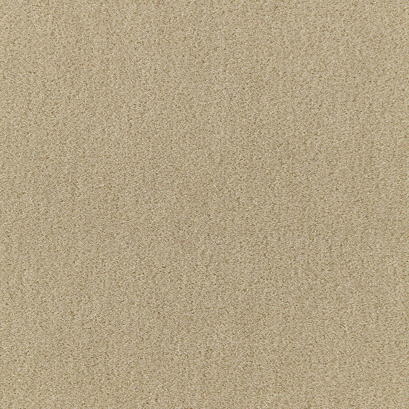 San Carlo Mohair Velvet Pebble 64871 by Schumacher Fabric MOHAIR VELVET PROGRAM COTTON 54% MOHAIR 46% NETHERLANDS MARTINDALE 40,000 </p><p>Repeat: Horizontal: and Vertical: 55 - Fabric Carolina -