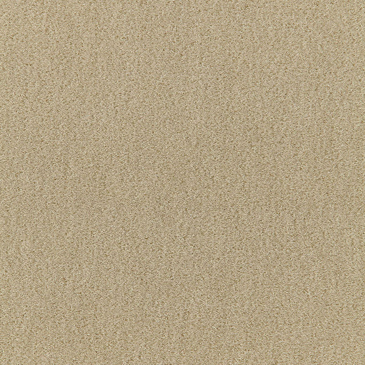 San Carlo Mohair Velvet Pebble 64871 by Schumacher Fabric MOHAIR VELVET PROGRAM COTTON 54% MOHAIR 46% NETHERLANDS MARTINDALE 40,000 </p><p>Repeat: Horizontal: and Vertical: 55 - Fabric Carolina -