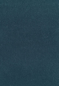San Carlo Mohair Velvet Myosotis 64877 by Schumacher Fabric