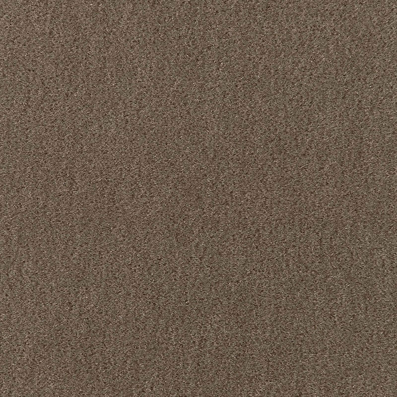 San Carlo Mohair Velvet Taupe 64884 by Schumacher Fabric MOHAIR VELVET PROGRAM See Sample NETHERLANDS HEAVY DUTY </p><p>Repeat: Horizontal: - and Vertical: - 55" WIDE (140CM) - Fabric Carolina -