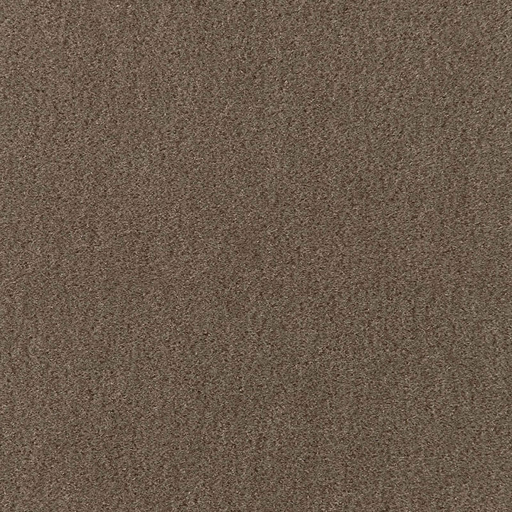 San Carlo Mohair Velvet Taupe 64884 by Schumacher Fabric MOHAIR VELVET PROGRAM See Sample NETHERLANDS HEAVY DUTY </p><p>Repeat: Horizontal: - and Vertical: - 55" WIDE (140CM) - Fabric Carolina -