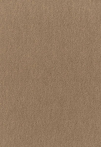San Carlo Mohair Velvet Sparrow 64885 by Schumacher Fabric