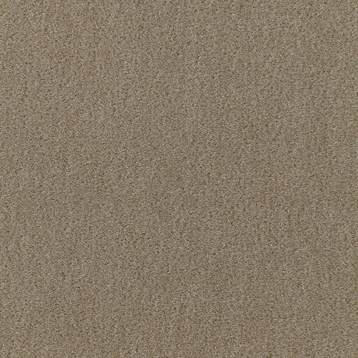 San Carlo Mohair Velvet Khaki 64886 by Schumacher Fabric MOHAIR VELVET PROGRAM COTTON 54% MOHAIR 46% NETHERLANDS MARTINDALE 40,000 </p><p>Repeat: Horizontal: and Vertical: 55 - Fabric Carolina -