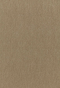 San Carlo Mohair Velvet Sage 64887 by Schumacher Fabric