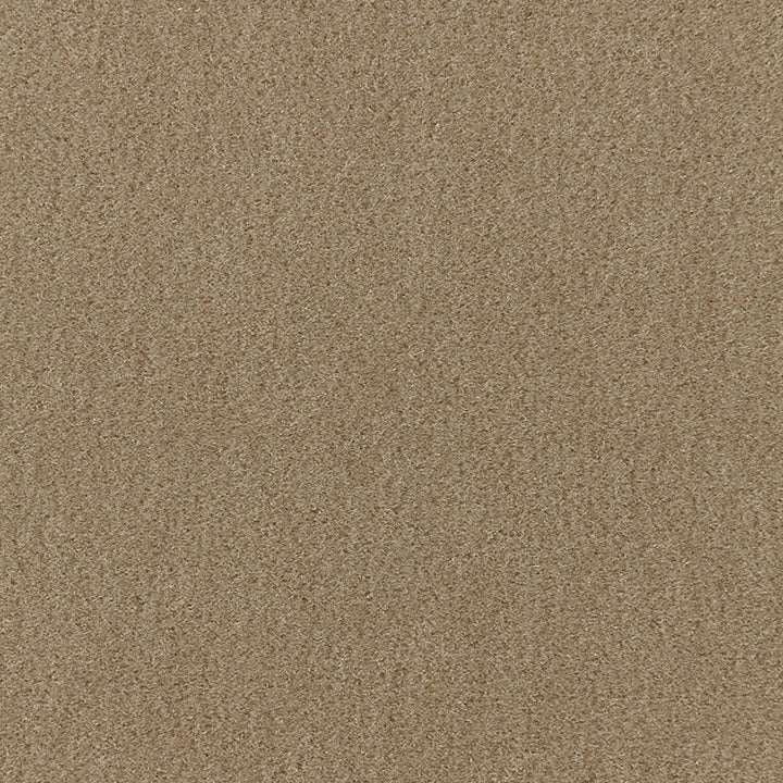 San Carlo Mohair Velvet Sage 64887 by Schumacher Fabric MOHAIR VELVET PROGRAM See Sample NETHERLANDS HEAVY DUTY </p><p>Repeat: Horizontal: - and Vertical: - 55" WIDE (140CM) - Fabric Carolina -