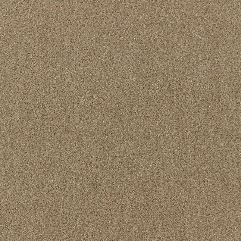 San Carlo Mohair Velvet Sage 64887 by Schumacher Fabric MOHAIR VELVET PROGRAM COTTON 54% MOHAIR 46% NETHERLANDS MARTINDALE 40,000 </p><p>Repeat: Horizontal: and Vertical: 55 - Fabric Carolina -