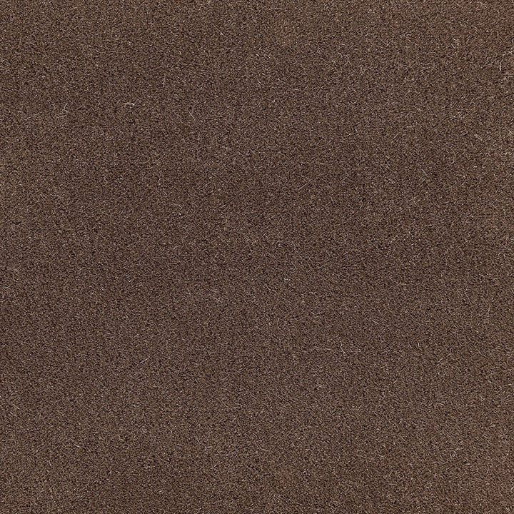 San Carlo Mohair Velvet Mink 64889 by Schumacher Fabric Schumacher Fabric San Carlo Mohair Velvet Mink 64889Fabric COTTON 54% NETHERLANDS </p><p>Repeat: H: , V: 55 - Fabric Carolina -