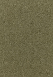 San Carlo Mohair Velvet Moss 64894 by Schumacher Fabric