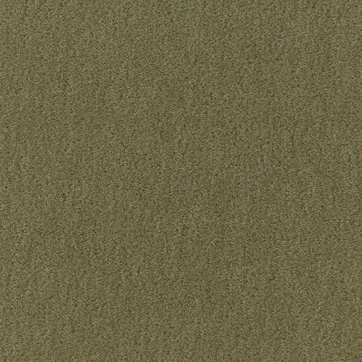 San Carlo Mohair Velvet Moss 64894 by Schumacher Fabric MOHAIR VELVET PROGRAM See Sample NETHERLANDS HEAVY DUTY </p><p>Repeat: Horizontal: - and Vertical: - 55" WIDE (140CM) - Fabric Carolina -