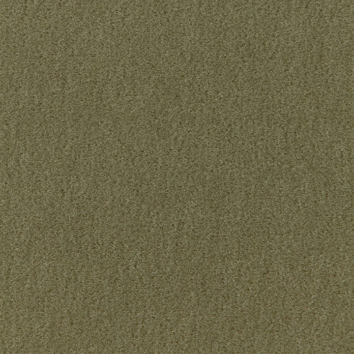 San Carlo Mohair Velvet Moss 64894 by Schumacher Designer Fabric MOHAIR VELVET PROGRAM COTTON 54% MOHAIR 46% NETHERLANDS MARTINDALE 40,000 </p><p>Repeat: Horizontal: and Vertical: 55 - Swanky Fabrics -