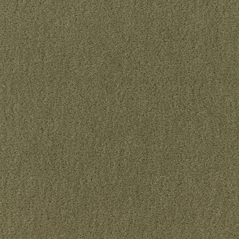 San Carlo Mohair Velvet Moss 64894 by Schumacher Fabric Schumacher Fabric San Carlo Mohair Velvet Moss 64894Fabric COTTON 54% NETHERLANDS </p><p>Repeat: H: , V: 55 - Fabric Carolina -
