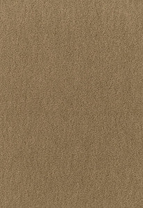 San Carlo Mohair Velvet Herb 64895 by Schumacher Fabric