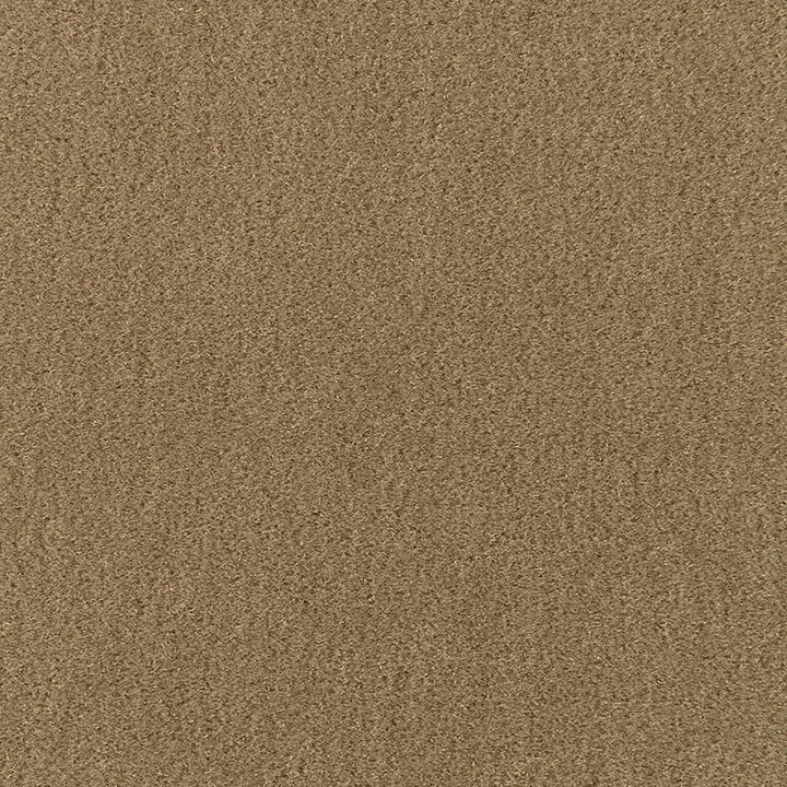 San Carlo Mohair Velvet Herb 64895 by Schumacher Fabric MOHAIR VELVET PROGRAM See Sample NETHERLANDS HEAVY DUTY </p><p>Repeat: Horizontal: - and Vertical: - 55" WIDE (140CM) - Fabric Carolina -