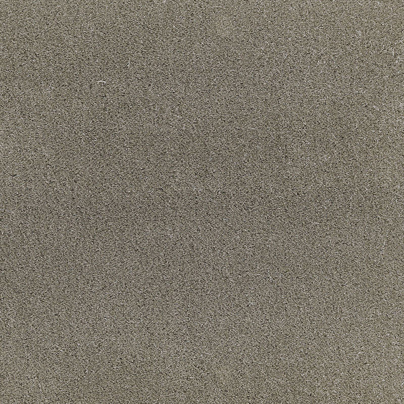 San Carlo Mohair Velvet Moleskin 64896 by Schumacher Fabric MOHAIR VELVET PROGRAM COTTON 54% MOHAIR 46% NETHERLANDS MARTINDALE 40,000 </p><p>Repeat: Horizontal: and Vertical: 55 - Fabric Carolina -