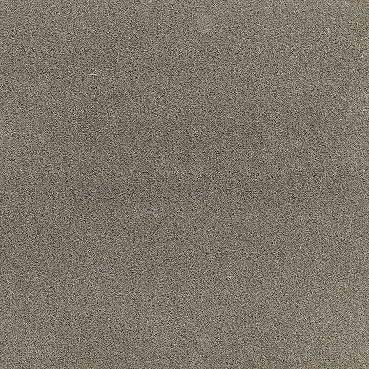 San Carlo Mohair Velvet Moleskin 64896 by Schumacher Fabric MOHAIR VELVET PROGRAM See Sample NETHERLANDS HEAVY DUTY </p><p>Repeat: Horizontal: - and Vertical: - 55" WIDE (140CM) - Fabric Carolina -
