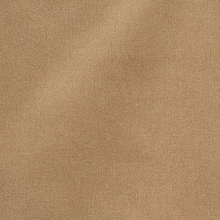 San Carlo Mohair Velvet Doe 64898 by Schumacher Fabric Perfect-Basic-Palermo-And-San-Carlo-Mohairs 54% Cotton, 46% Mohair Martindale 40,000 Horizontal: - and Vertical: - 55 - Fabric Carolina -