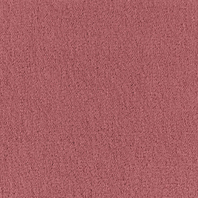 Palermo Mohair Velvet French Violet 64901 by Schumacher Fabric MOHAIR VELVET PROGRAM See Sample NETHERLANDS HEAVY DUTY </p><p>Repeat: Horizontal: - and Vertical: - 55" WIDE (140CM) - Fabric Carolina -