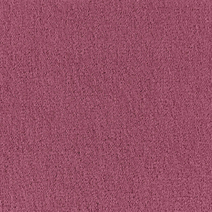Palermo Mohair Velvet Mulberry 64902 by Schumacher Fabric MOHAIR VELVET PROGRAM MOHAIR 51% COTTON 49% NETHERLANDS MARTINDALE 90,000 </p><p>Repeat: Horizontal: and Vertical: 55 - Fabric Carolina -
