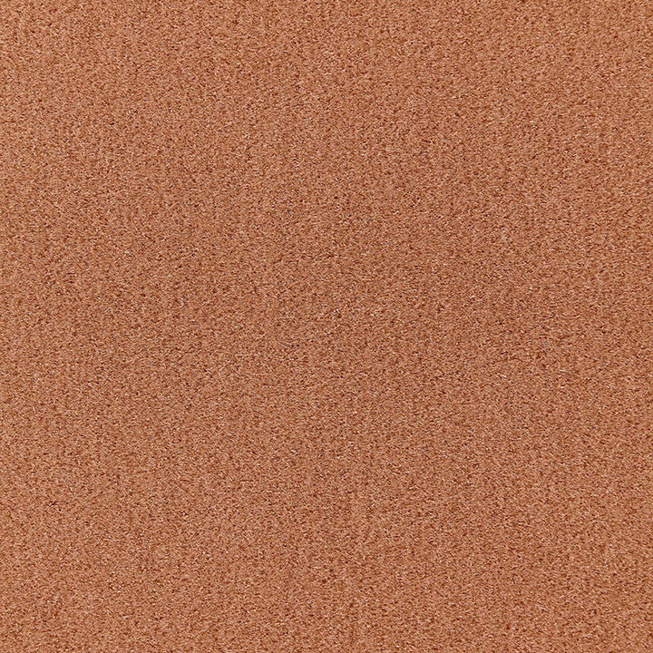 Palermo Mohair Velvet Camomile 64918 by Schumacher Fabric Schumacher Fabric Palermo Mohair Velvet Camomile 64918Fabric MOHAIR 51% NETHERLANDS </p><p>Repeat: H: , V: 55 - Fabric Carolina -