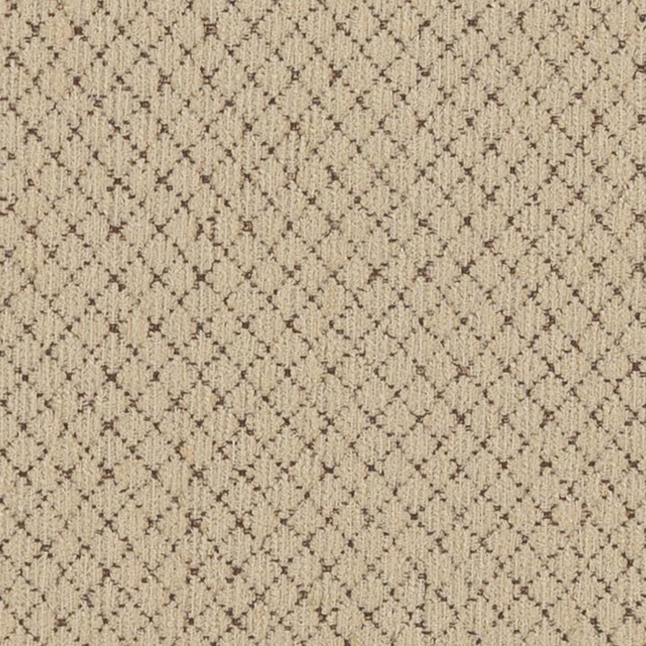 6491 Adobe by Charlotte Fabric Ring Book Page #55 50% Acrylic, 50% Polyester Asia Exceeds 80,000 Wyzenbeek Rubs (Heavy Duty) Horizontal: 0.5" x Vertical: 0.5" 54 Inches - Fabric Carolina -