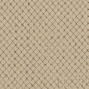 6491 Adobe by Charlotte Fabric