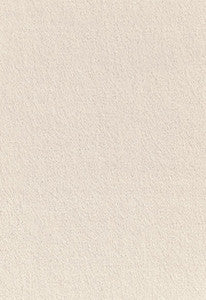 Palermo Mohair Velvet Tusk 64921 by Schumacher Fabric