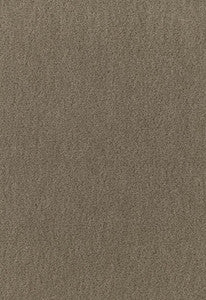 Palermo Mohair Velvet Thyme 64930 by Schumacher Fabric