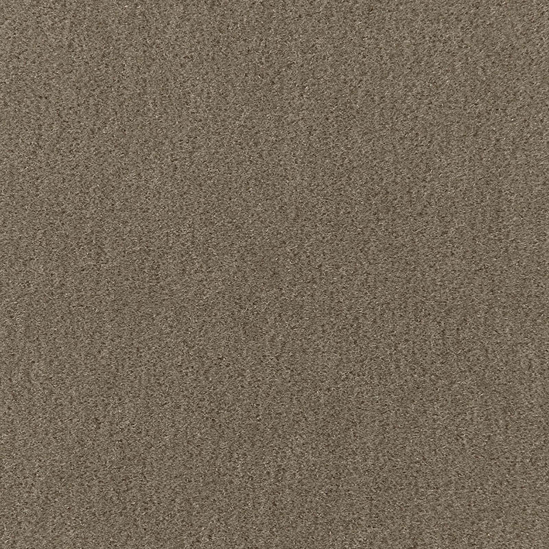 Palermo Mohair Velvet Thyme 64930 by Schumacher Fabric MOHAIR VELVET PROGRAM MOHAIR 51% COTTON 49% NETHERLANDS MARTINDALE 90,000 </p><p>Repeat: Horizontal: and Vertical: 55 - Fabric Carolina -