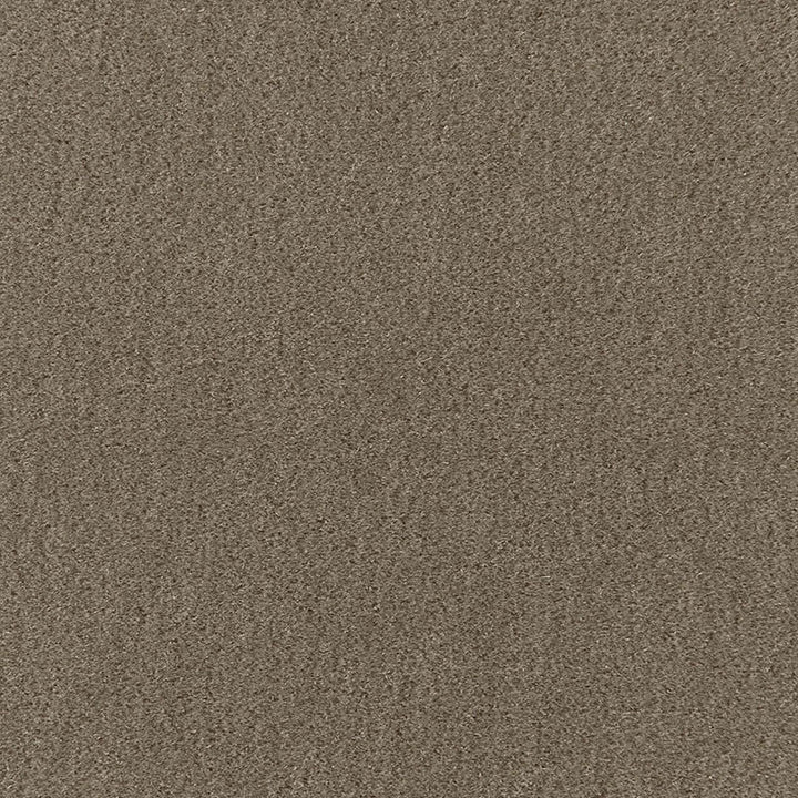 Palermo Mohair Velvet Thyme 64930 by Schumacher Fabric MOHAIR VELVET PROGRAM MOHAIR 51% COTTON 49% NETHERLANDS MARTINDALE 90,000 </p><p>Repeat: Horizontal: and Vertical: 55 - Fabric Carolina -
