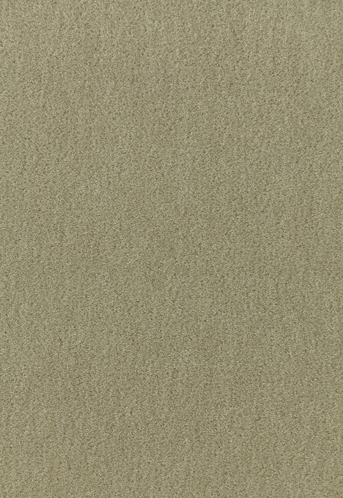 Palermo Mohair Velvet Lichen 64931 by Schumacher Fabric Mohair-Velvet 51% Mohair, 49% Cotton Martindale 90,000 Horizontal: - and Vertical: - 55 - Fabric Carolina -