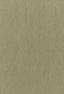 Palermo Mohair Velvet Lichen 64931 by Schumacher Fabric