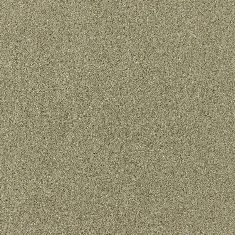 Palermo Mohair Velvet Lichen 64931 by Schumacher Fabric MOHAIR VELVET PROGRAM MOHAIR 51% COTTON 49% NETHERLANDS MARTINDALE 90,000 </p><p>Repeat: Horizontal: and Vertical: 55 - Fabric Carolina -