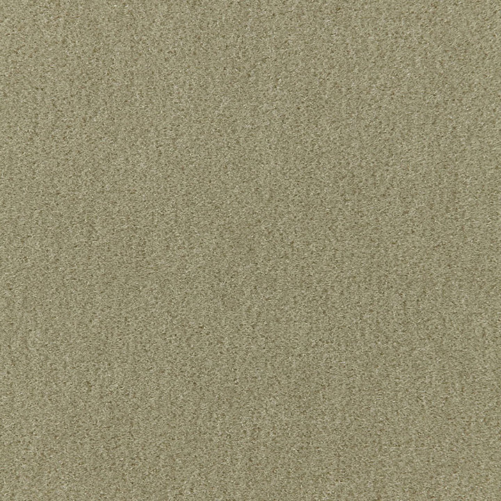 Palermo Mohair Velvet Lichen 64931 by Schumacher Fabric MOHAIR VELVET PROGRAM MOHAIR 51% COTTON 49% NETHERLANDS MARTINDALE 90,000 </p><p>Repeat: Horizontal: and Vertical: 55 - Fabric Carolina -