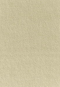 Palermo Mohair Velvet Eau De Nil 64932 by Schumacher Fabric