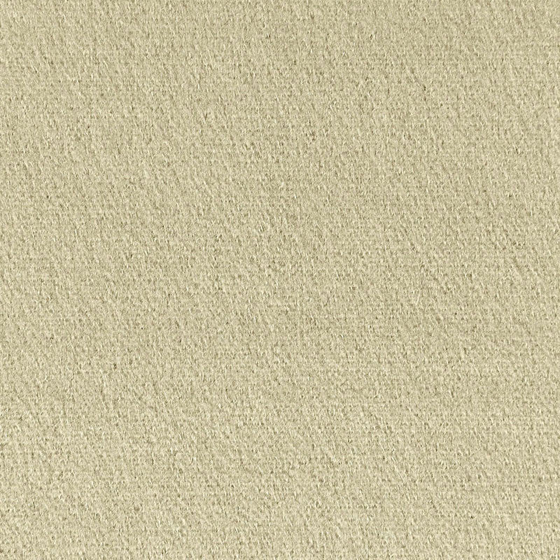 Palermo Mohair Velvet Eau De Nil 64932 by Schumacher Fabric MOHAIR VELVET PROGRAM See Sample NETHERLANDS HEAVY DUTY </p><p>Repeat: Horizontal: - and Vertical: - 55" WIDE (140CM) - Fabric Carolina -