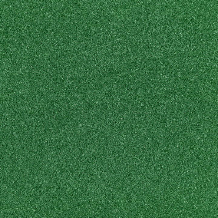 Palermo Mohair Velvet Shamrock 64935 by Schumacher Fabric MOHAIR VELVET PROGRAM See Sample NETHERLANDS HEAVY DUTY </p><p>Repeat: Horizontal: - and Vertical: - 55" WIDE (140CM) - Fabric Carolina -