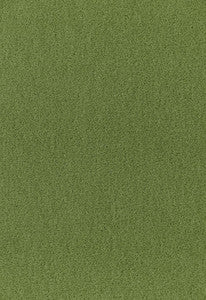 Palermo Mohair Velvet Grass 64937 by Schumacher Fabric