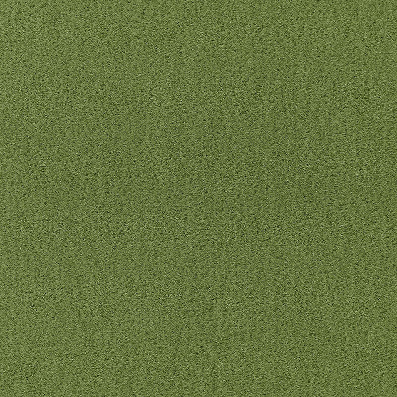 Palermo Mohair Velvet Grass 64937 by Schumacher Fabric MOHAIR VELVET PROGRAM MOHAIR 51% COTTON 49% NETHERLANDS MARTINDALE 90,000 </p><p>Repeat: Horizontal: and Vertical: 55 - Fabric Carolina -