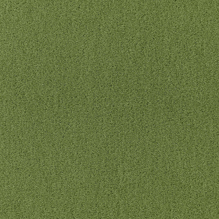 Palermo Mohair Velvet Grass 64937 by Schumacher Fabric MOHAIR VELVET PROGRAM MOHAIR 51% COTTON 49% NETHERLANDS MARTINDALE 90,000 </p><p>Repeat: Horizontal: and Vertical: 55 - Fabric Carolina -