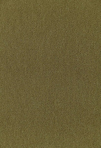 Palermo Mohair Velvet Olive 64938 by Schumacher Fabric